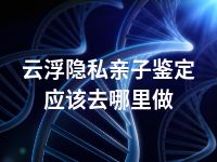 云浮隐私亲子鉴定应该去哪里做