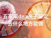 五家渠dna亲子鉴定去什么地方能做