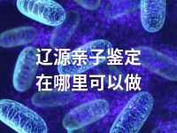 辽源亲子鉴定在哪里可以做