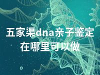 五家渠dna亲子鉴定在哪里可以做