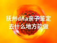 抚州dna亲子鉴定去什么地方能做