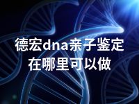 德宏dna亲子鉴定在哪里可以做