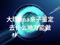 大理dna亲子鉴定去什么地方能做