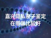 嘉兴隐私亲子鉴定在哪做比较好