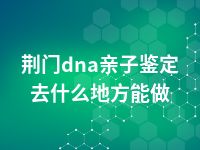 荆门dna亲子鉴定去什么地方能做