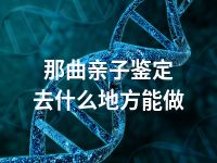 那曲亲子鉴定去什么地方能做
