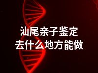 汕尾亲子鉴定去什么地方能做