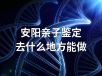 安阳亲子鉴定去什么地方能做