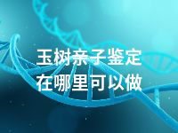 玉树亲子鉴定在哪里可以做