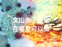文山亲子鉴定在哪里可以做