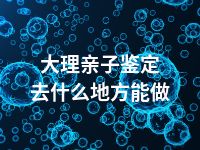 大理亲子鉴定去什么地方能做