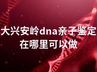 大兴安岭dna亲子鉴定在哪里可以做
