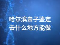 哈尔滨亲子鉴定去什么地方能做