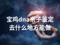 宝鸡dna亲子鉴定去什么地方能做