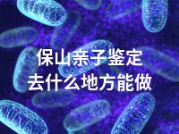 保山亲子鉴定去什么地方能做