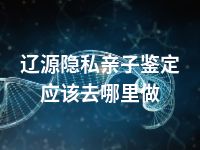 辽源隐私亲子鉴定应该去哪里做