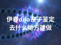 伊春dna亲子鉴定去什么地方能做
