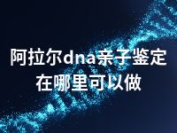 阿拉尔dna亲子鉴定在哪里可以做
