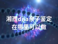 湘西dna亲子鉴定在哪里可以做