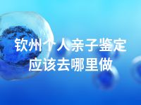 钦州个人亲子鉴定应该去哪里做