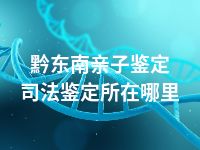 黔东南亲子鉴定司法鉴定所在哪里