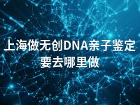 上海做无创DNA亲子鉴定要去哪里做