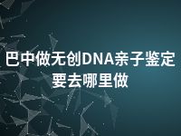 巴中做无创DNA亲子鉴定要去哪里做