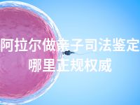 阿拉尔做亲子司法鉴定哪里正规权威