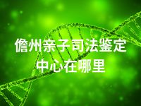 儋州亲子司法鉴定中心在哪里