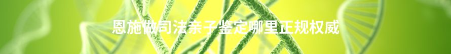 黄冈做司法亲子鉴定哪里正规权威