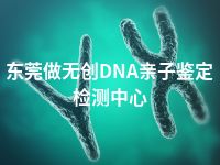 东莞做无创DNA亲子鉴定检测中心