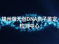 锦州做无创DNA亲子鉴定检测中心
