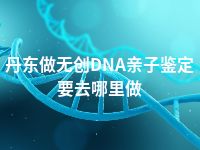 丹东做无创DNA亲子鉴定要去哪里做