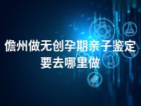 儋州做无创孕期亲子鉴定要去哪里做