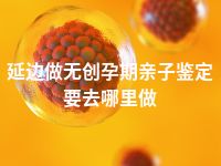 延边做无创孕期亲子鉴定要去哪里做