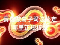 黄石做亲子司法鉴定哪里正规权威