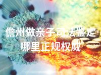 儋州做亲子司法鉴定哪里正规权威