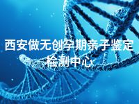 西安做无创孕期亲子鉴定检测中心