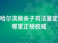 哈尔滨做亲子司法鉴定哪里正规权威