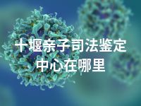 十堰亲子司法鉴定中心在哪里
