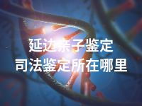延边亲子鉴定司法鉴定所在哪里