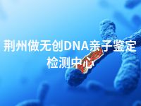 荆州做无创DNA亲子鉴定检测中心