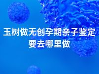 玉树做无创孕期亲子鉴定要去哪里做