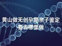 黄山做无创孕期亲子鉴定要去哪里做