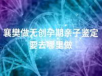 襄樊做无创孕期亲子鉴定要去哪里做