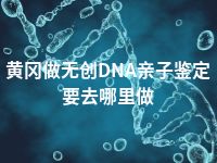 黄冈做无创DNA亲子鉴定要去哪里做