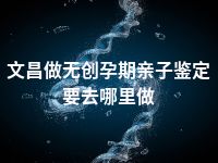 文昌做无创孕期亲子鉴定要去哪里做