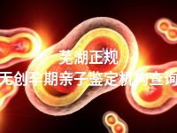 芜湖正规无创孕期亲子鉴定机构查询