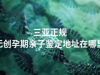 三亚正规无创孕期亲子鉴定地址在哪里