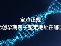 宝鸡正规无创孕期亲子鉴定地址在哪里